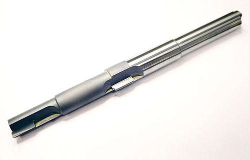furaisu-gazou-010.jpg